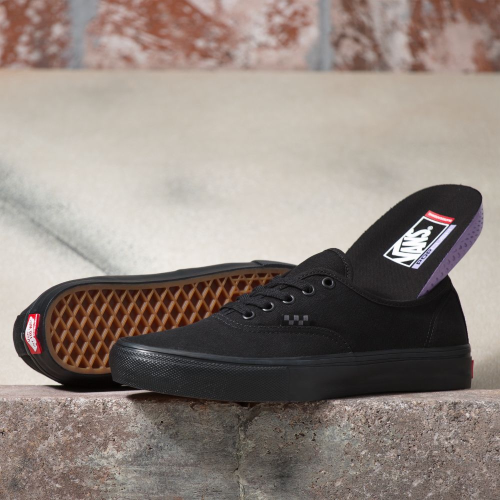 Zapatillas Skate Authentic Black/Black