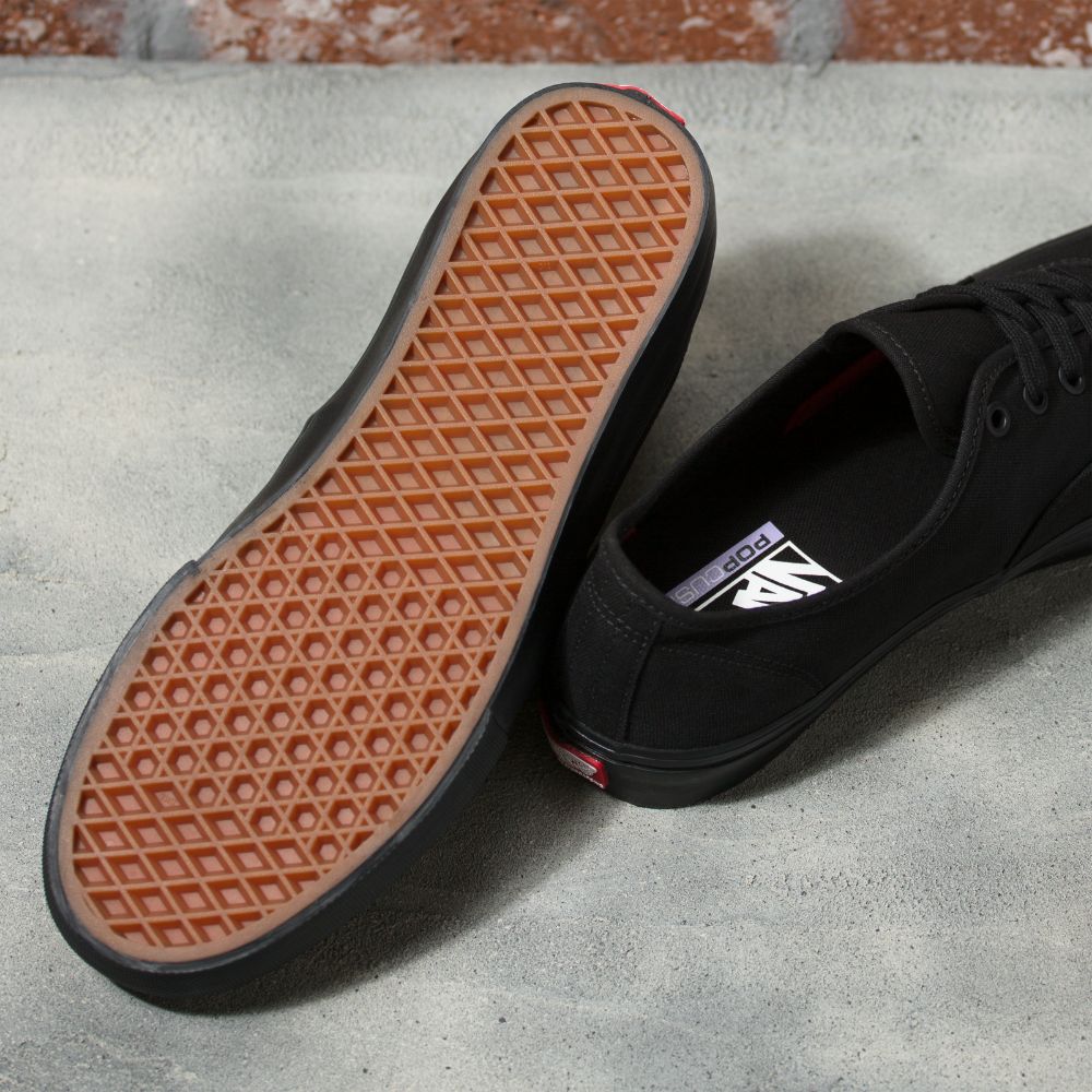 Zapatillas Skate Authentic Black/Black