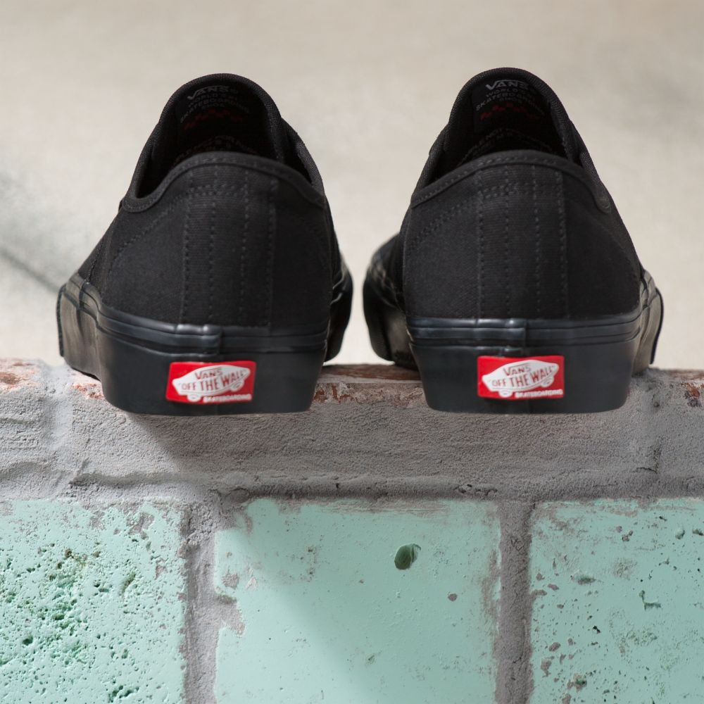 Zapatillas Skate Authentic Black/Black